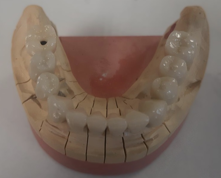 image-16-08-23-10-06-1.jpeg image-16-08-23-10-06-1.jpeg