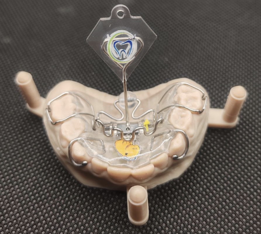 image-25-02-25-05-23.jpeg image-25-02-25-05-23.jpeg